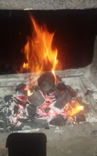 ذغال کبابی ویژه