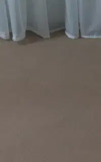 موکت