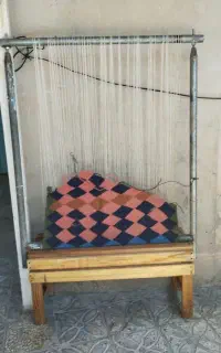 دار قالیچه