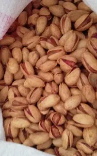 دوکیلوپسته شور کیلو20000