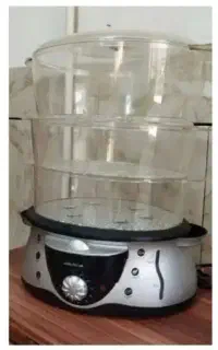 بخار پز (نو)