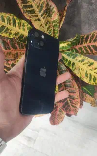 اپل 13 نرمال در حد صفر