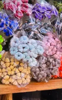 گل پنبه گل خشک شاخه ایی بلند کوتاه