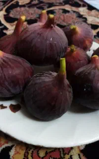 انجیر سیاه شیرین و خوشمزه
