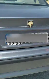 سمند دوگانه 96