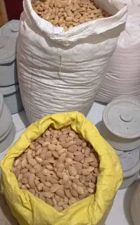 بادام شیرین درختی/ ممتاز یزد