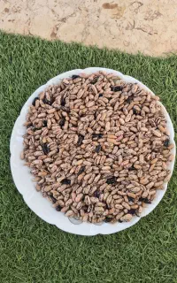 باقالی خشک ولوبیای خشک