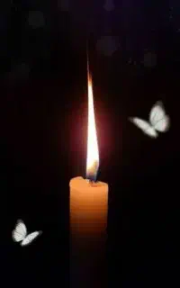مداح.اکو