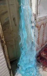 دوتا سلیه برای فروش