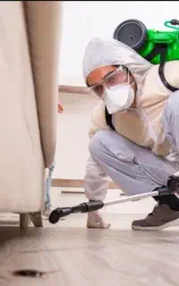 سمپاشی علیه حشرات،سمپاشی تضمینی