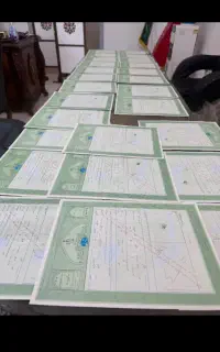 ضامن