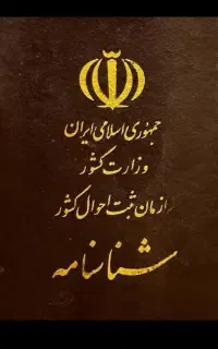 گمشده به نام خانم بامری