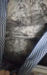 تشک و بالش