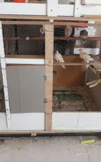 جفت‌دونی‌پرنده‌