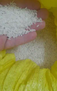 برنج هاشمی تازه درجه یک (فوری)