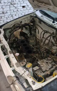 استخدام