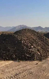 کود گاوی