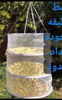 توری میوه خشک کن