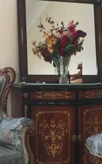 خانم جهت نظافت