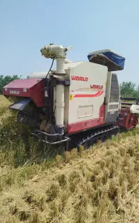 هانور لول بلند 2019