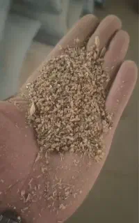 گندم شکسته گونی شده