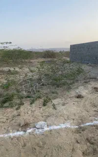 زمین خالی