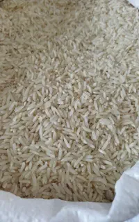 برنج طارم محلی