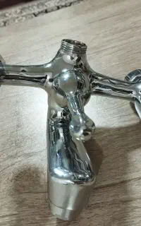 شیر حمام قهرمان