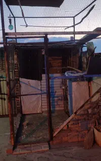 تور خانه کبوتر