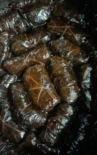 دلمه برگ انگور