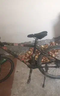 زنگ بزنید