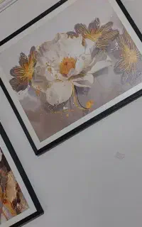 ۳عدد تابلو و پروانه دیواری