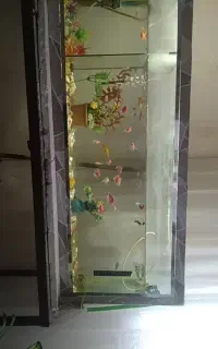 اکواریوم