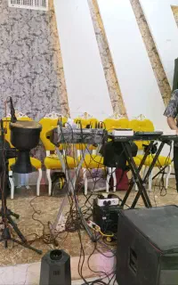 دیجی علی