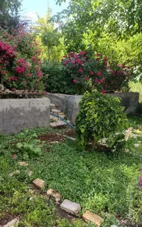 فروش باغچه کوچک با کل انشعابات ناماور