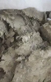 کود کبوتر