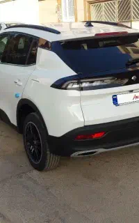 ریرا باکارت طلایی