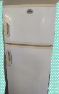 یخچال برای باغ