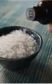 پخش اسانس خوراکی