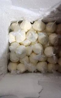 کره محلی (چرخی)