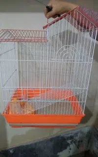 قفس خرگوش