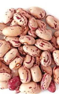لوبیا چیتی سرحد کیفیت بالا