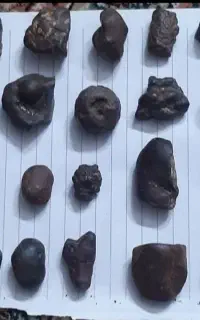 سنگ