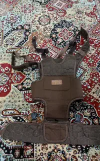 آغوشی کودک نو