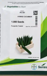 بذر خیار مونزا بذر خیار547 بذر گوجه ۴۱۲۹ گلخانه ای