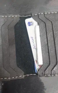 پیدا شده