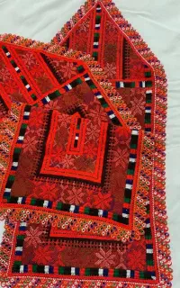 کریشی کار حرفه ایی