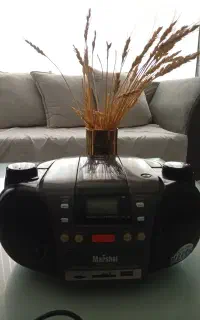 دستگاه پخش مارشال