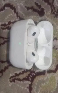 ارپاد سالم.