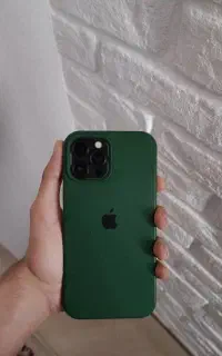 12 pro max